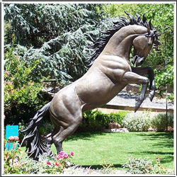 公園銅馬 公園銅馬