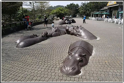 公園河馬銅雕塑 公園河馬銅雕塑